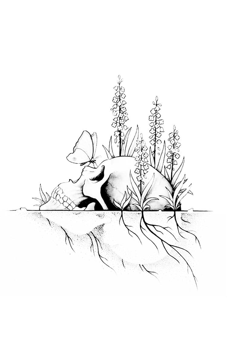 Book illustration: 2